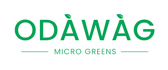 ODÀWÀG Microgreens